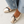 demi ballet metallic leather square toe comfy ballet flat black bow